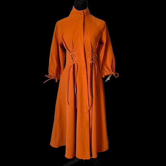 🎁 The RAETRUDA Rust Tie Accent Dress - Picture 11 of 14